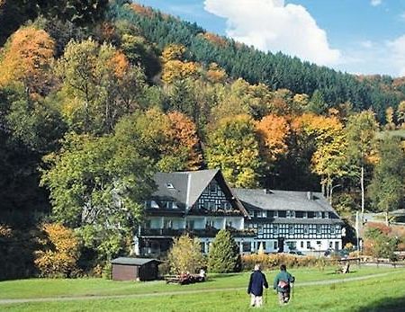 Tommes Gaestehaus Zur Muehle Schmallenberg Exteriör bild