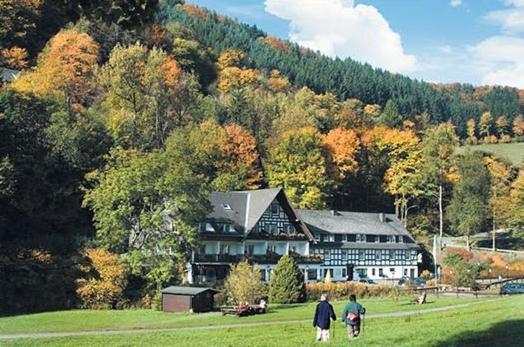 Tommes Gaestehaus Zur Muehle Schmallenberg Exteriör bild